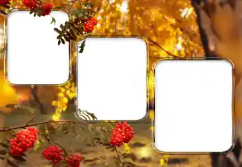 PhotoEffect da categoria Diversos № 150527