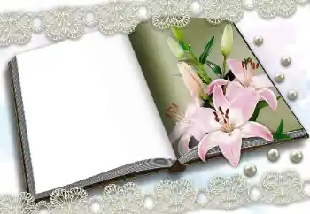 PhotoEffect da categoria Diversos № 150570