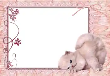 PhotoEffect da categoria Diversos № 150650