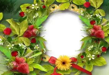 PhotoEffect da categoria Diversos № 151668