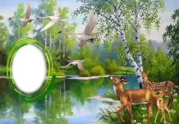 PhotoEffect da categoria Diversos № 151671