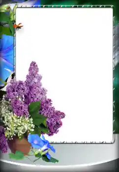 PhotoEffect da categoria Diversos № 151796