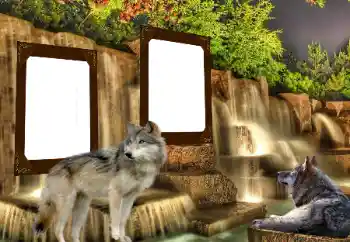 PhotoEffect da categoria Diversos № 153016