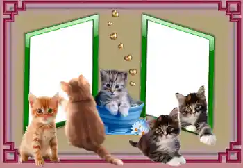 PhotoEffect da categoria Diversos № 153045