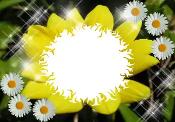 PhotoEffect da categoria Diversos № 1530