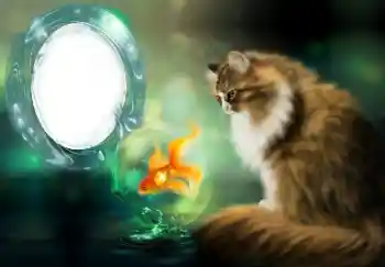 PhotoEffect da categoria Diversos № 154509