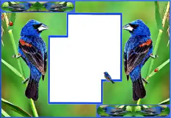 PhotoEffect da categoria Diversos № 154512