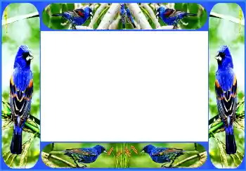 PhotoEffect da categoria Diversos № 154514