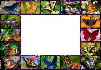 PhotoEffect da categoria Diversos № 154545