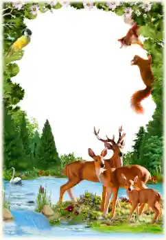 PhotoEffect da categoria Diversos № 154547