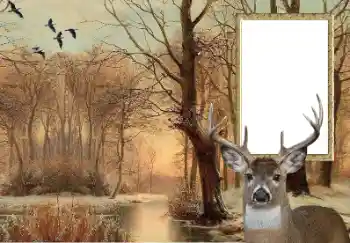 PhotoEffect da categoria Diversos № 154607