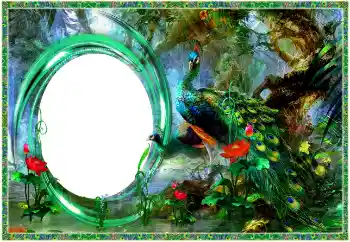 PhotoEffect da categoria Diversos № 154704