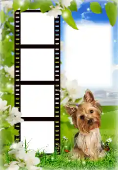 PhotoEffect da categoria Diversos № 154718