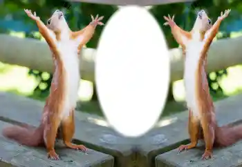 PhotoEffect da categoria Diversos № 154733