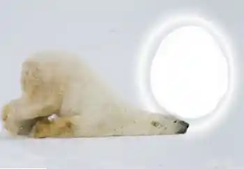 PhotoEffect da categoria Diversos № 154735