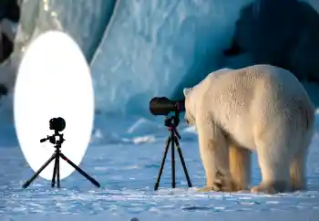 PhotoEffect da categoria Diversos № 154736