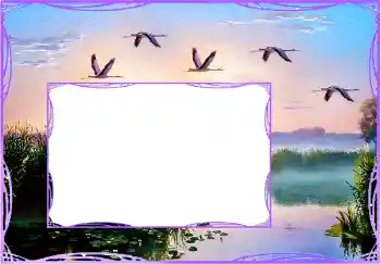 PhotoEffect da categoria Diversos № 154759