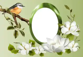 PhotoEffect da categoria Diversos № 155868