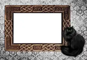 PhotoEffect da categoria Diversos № 155997