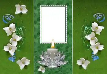 PhotoEffect da categoria Diversos № 157116