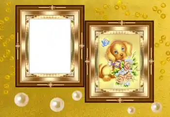 PhotoEffect da categoria Diversos № 158391