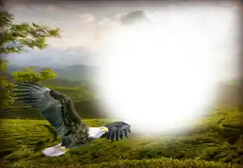 PhotoEffect da categoria Diversos № 158416