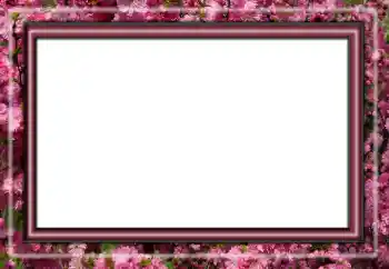 PhotoEffect da categoria Diversos № 158431