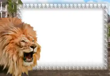 PhotoEffect da categoria Diversos № 158462