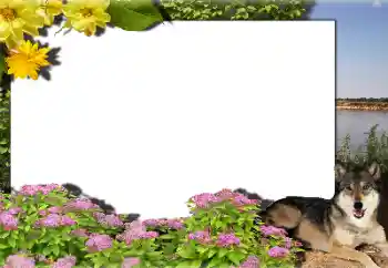 PhotoEffect da categoria Diversos № 159462