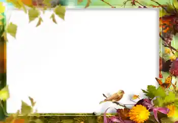 PhotoEffect da categoria Diversos № 160773