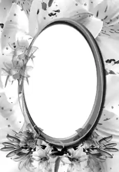 PhotoEffect da categoria Diversos № 160896