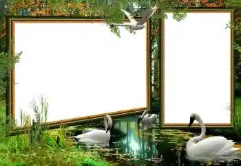 PhotoEffect da categoria Diversos № 160922