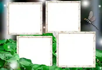 PhotoEffect da categoria Diversos № 161947