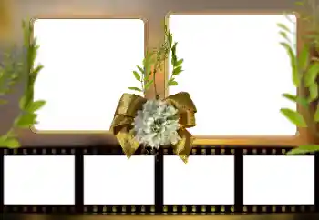 PhotoEffect da categoria Diversos № 161948