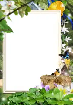 PhotoEffect da categoria Diversos № 162044