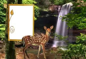 PhotoEffect da categoria Diversos № 163220