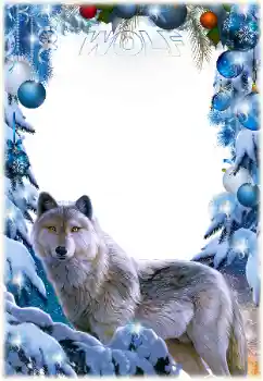 Texto na moldura: Wolf
