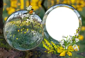 PhotoEffect da categoria Diversos № 163601