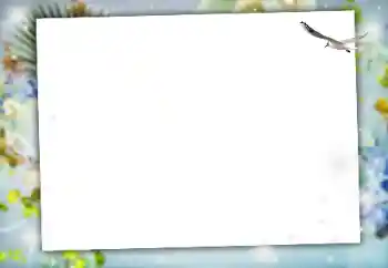 PhotoEffect da categoria Diversos № 164634