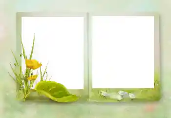 PhotoEffect da categoria Diversos № 164751