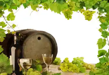 PhotoEffect da categoria Diversos № 164780