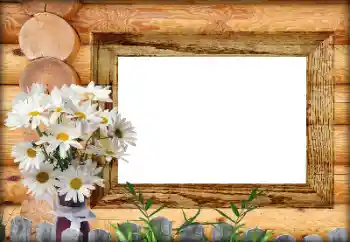 PhotoEffect da categoria Diversos № 164792 PhotoEffect da categoria Diversos № 164792