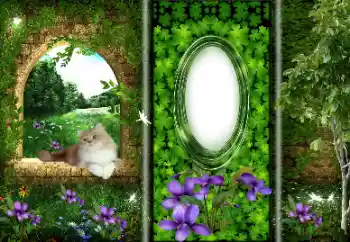 PhotoEffect da categoria Diversos № 166033 PhotoEffect da categoria Diversos № 166033