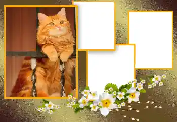 PhotoEffect da categoria Diversos № 166093