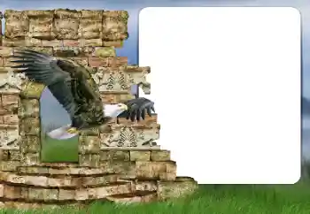 PhotoEffect da categoria Diversos № 166357