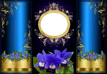 PhotoEffect da categoria Diversos № 166447 PhotoEffect da categoria Diversos № 166447