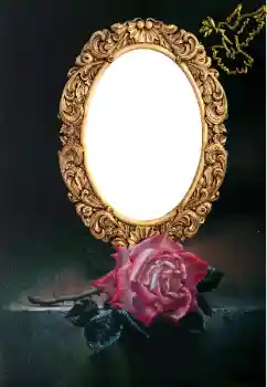 PhotoEffect da categoria Diversos № 166636 PhotoEffect da categoria Diversos № 166636