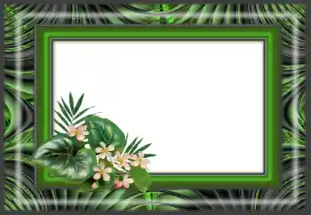 PhotoEffect da categoria Diversos № 166640 PhotoEffect da categoria Diversos № 166640