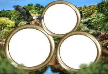 PhotoEffect da categoria Diversos № 167860