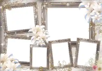 PhotoEffect da categoria Diversos № 169031 PhotoEffect da categoria Diversos № 169031